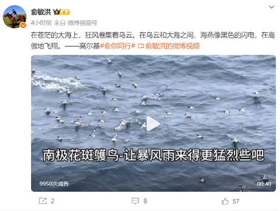 俞敏洪疑似回应内部信风波?再发10条南极视频,称“让暴风雨更猛烈些”