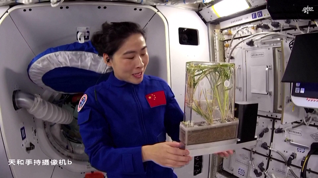 10月12日，“天宫课堂”第三课在中国空间站开讲，航天员刘洋现场展示水稻吐水现象。（视频截图）