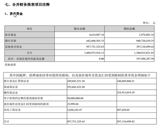 表 1 2017年货币资金明细