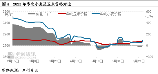 卓创资讯：供应及成本存支撑 三季度东北玉米价格或走强