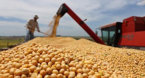 过去12月间，阿根廷大豆价格下跌18%。