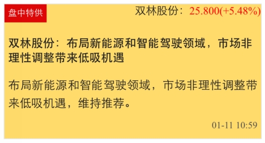 中金金网i牛股双林股份连续两日暴涨 累计涨超