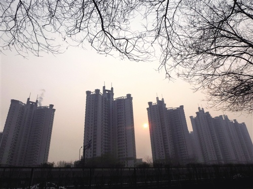 股楼跷跷板之深圳样本 三成投机客或逼爆另类