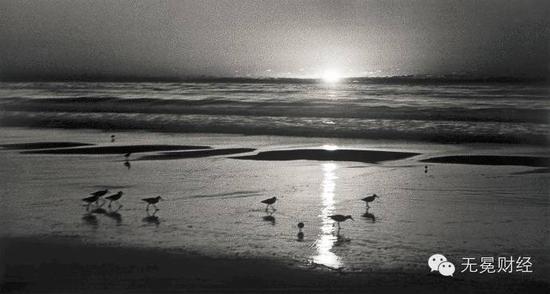 张五常摄影作品《Sunset Parade》，1962年摄于美国加州海滩。张五常先生还是十分知名的摄影家，可与香港著名的摄影家简庆福等人一比高下。