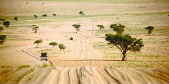 中石油乍得往事:撤离时有人曾紧张到尿不出来