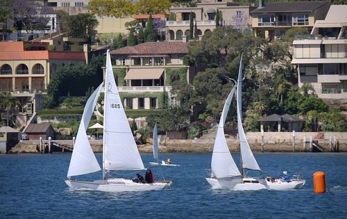 澳大利亚超级富豪数激增 悉尼晋升全球十大富