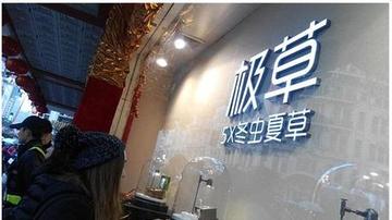 青海春天极草被叫停 或大幅裁员