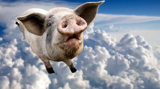 A股是如何被猪拯救的?|温氏股份|生猪|利润