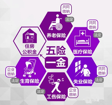 收入证明_业务收入现金率(2)