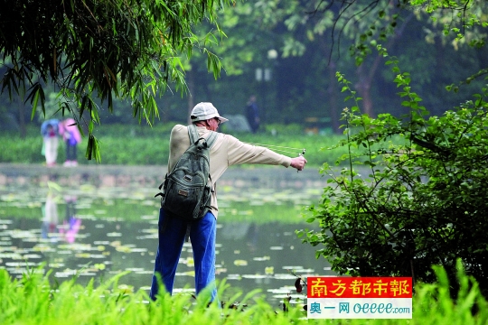生活 正文 弹弓举起 鸟殇鱼亡:谁来制止破坏公园生态的"城市猎人"