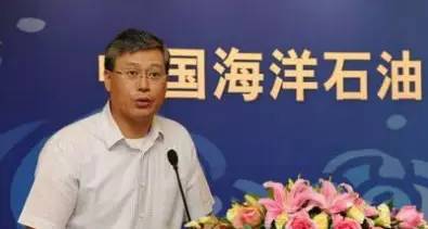 能源局副局长 刘琦张玉清退休|中海石油|中国海