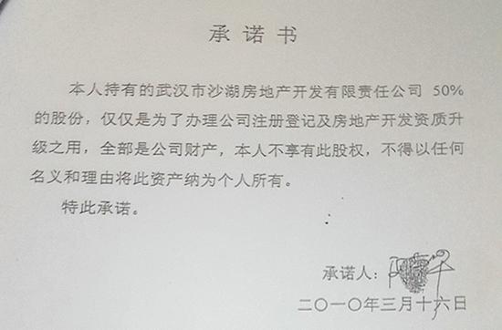 武汉沙湖村公司改制迷局:数亿元地产被前任控股|地产|公司改制|武汉_新浪财经_新浪网