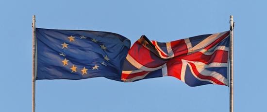 纠结去与留 一图看尽英国民意四十年变迁|欧盟