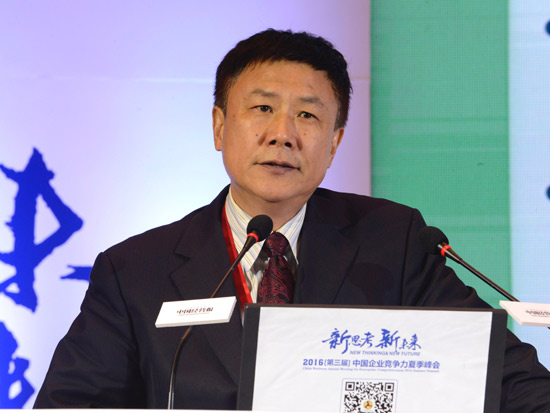 国家发展和改革委员会学术委员会秘书长张燕生