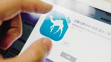 去哪儿等票代觅食数亿灰色空间