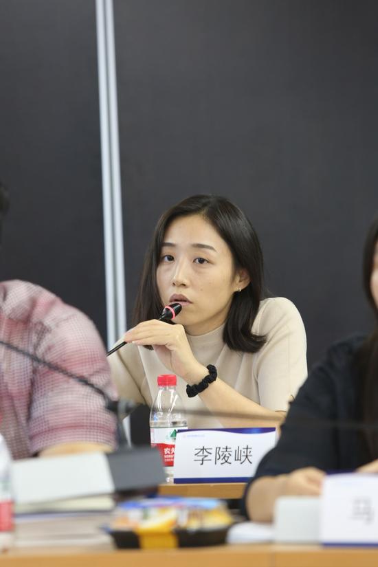 图文:普惠金融集团首席律师李陵峡|普惠金融|P