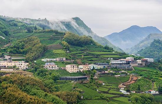 台湾旅游胜地阿里山风光。