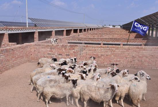 efaw响应国家扶贫攻坚总攻令 中民投打造宁夏