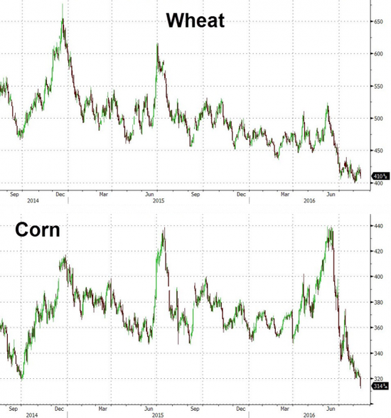 小麦和玉米的价格