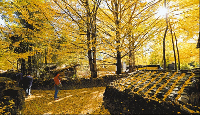 云南旅游特色村调查:个别客栈污水直接流进洱