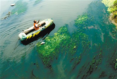 环境保护“费改税”将有助于我国的环境治理。图为养护人员在流经河南郑州市的贾鲁河河道捞取漂浮垃圾 新华社图