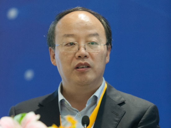 四川省经济和信息化委员会副主任张延川