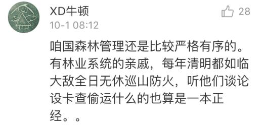 世行数据:中国森林面积增加全球第一(组图)