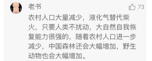 世行数据:中国森林面积增加全球第一(组图)