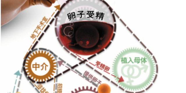 17岁少女卖21颗卵子赚一万块 揭秘黑色产业链