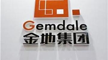 金地武汉楼盘玩乌龙销售被查