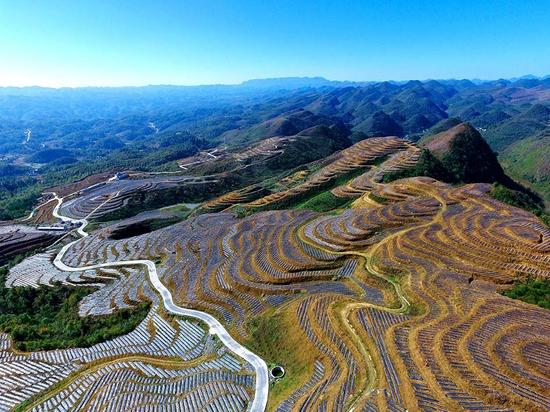 恒大援建贵州毕节大方县63个项目开工