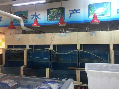 北京朝阳区金台路万惠商场仍有活鱼出售