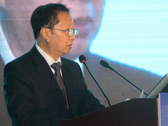 国务院发展研究中心原党组书记、副主任陈清泰