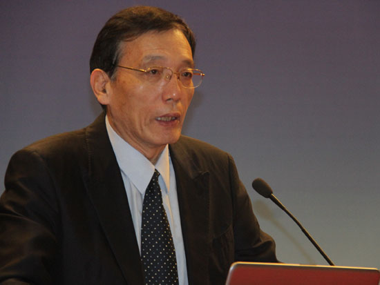中国发展研究基金会副理事长刘世锦