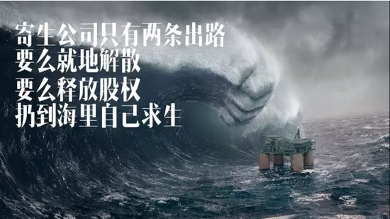 吴晓波:海尔在没有对标的日子里