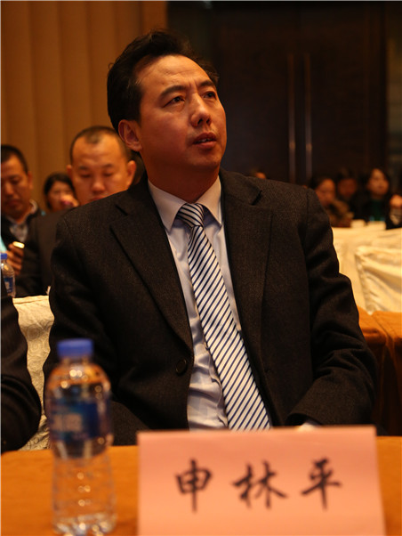 北京大成律师事务所高级合伙人申林平