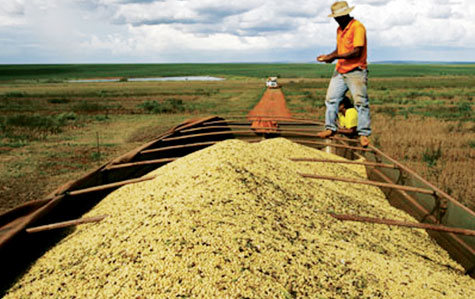 中国成巴西农产品最大进口国