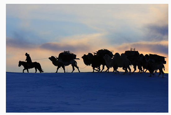 那些记忆中的港股 鸡年还好吗?|港股|洛阳钼业