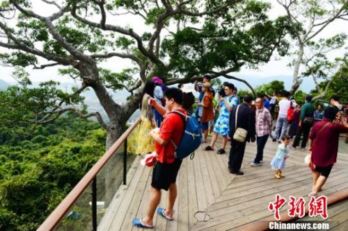 春节长假过后，三亚亚龙湾热带天堂森林旅游区依旧游人如织。黄庆优 摄