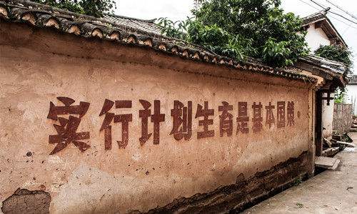 周天勇:需反思计划生育的力度和长度|计划生育