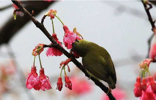 ҵ鴺֣۹ɶڵǲֺʱ