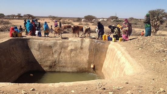 由于旱情严重，索马里北部的人们只能喝容易导致疾病的不清洁水。