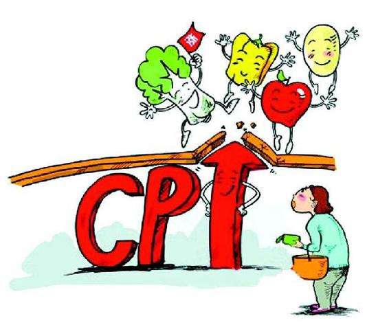 PPI与CPI走势背离之谜