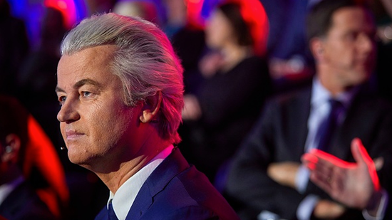 为什么要关心荷兰大选?|荷兰大选|极右翼|维尔