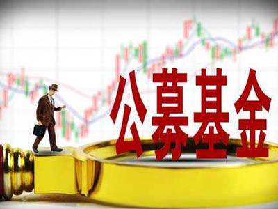 国泰基金杨飞:业绩是持股的信心来源|杨飞|国泰基金|回报率_新浪财经_新浪网