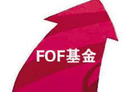 《私募证券FOF:大资管时代下的基金中基金》