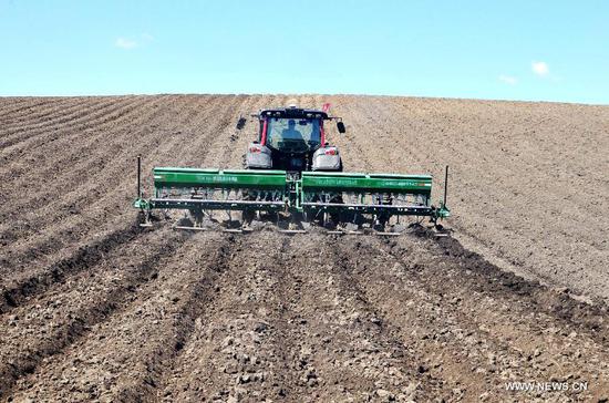 中国农业第一大省为俄罗斯远东打造 菜篮子 |农