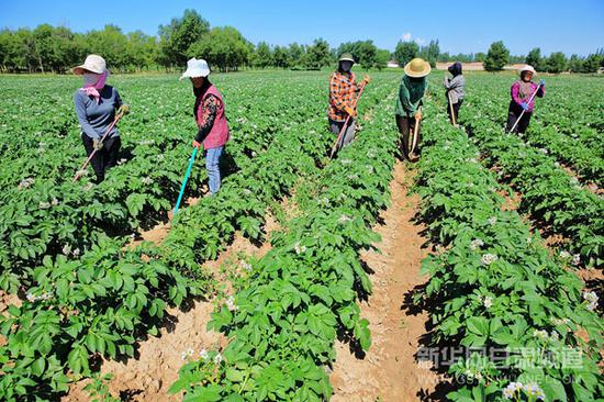 林毅夫:发展中国家怎么摆脱贫困?我讲两个故事