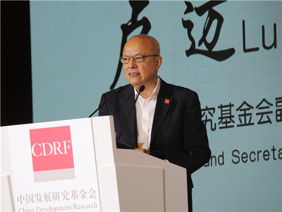 中国发展研究基金会副理事长兼秘书长卢迈