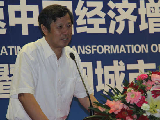 清华大学中国经济社会数据研究中心主任许宪春